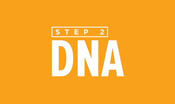 Next Steps DNA, Step 2